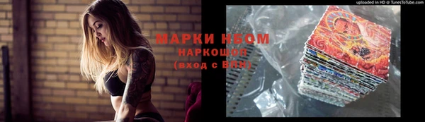 гидропоника Алзамай