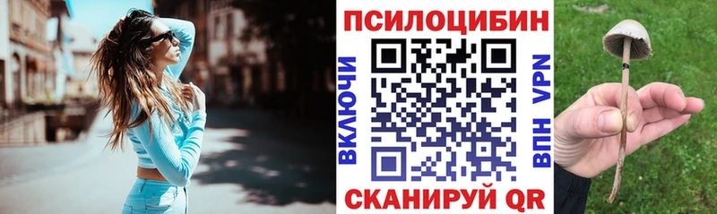 Псилоцибиновые грибы Cubensis  ссылка на мегу сайт  Туринск 